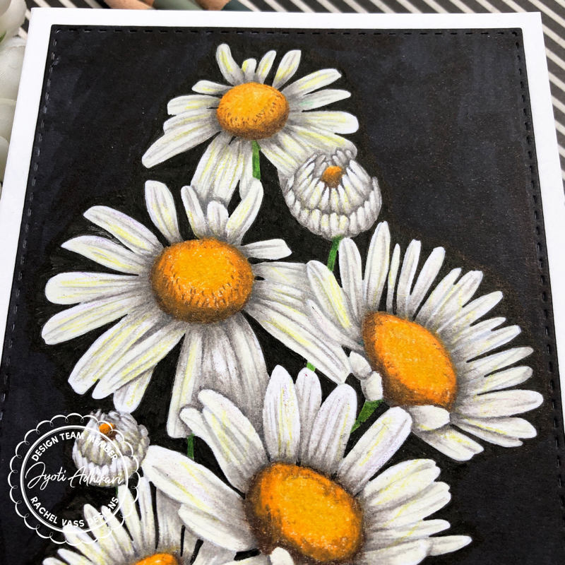 Sunshine Daisies by Rachel Vass Designs pencil coloring 