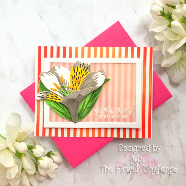 Peruvian Lily Stripe Birthday Card